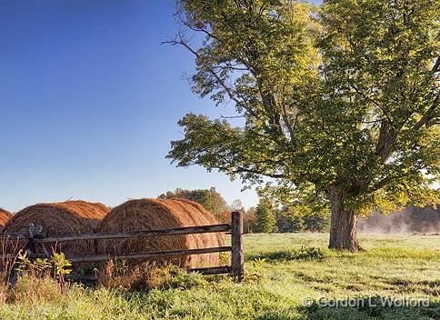 Bales & Tree_16303-4.jpg - Photographed near Crosby, Ontario, Canada.